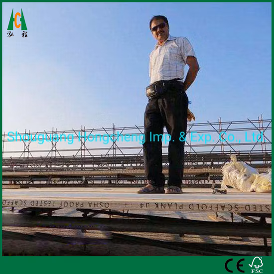 Andaime de pinho LVL Borad/Osha Pine LVL Andaime usado para estrutura ou construção de casa